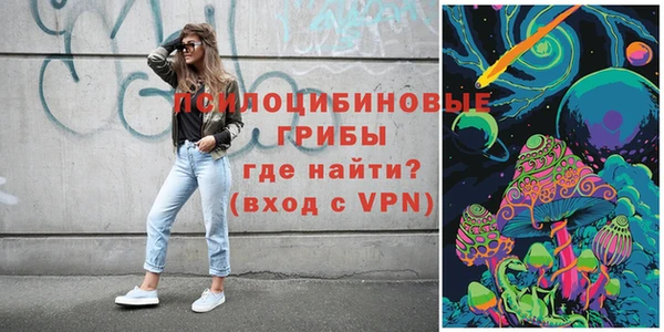 хмурый Алексеевка