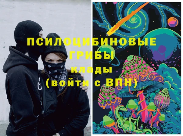 хмурый Алексеевка