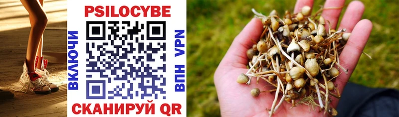 блэк спрут рабочий сайт  Плавск  Псилоцибиновые грибы Cubensis 
